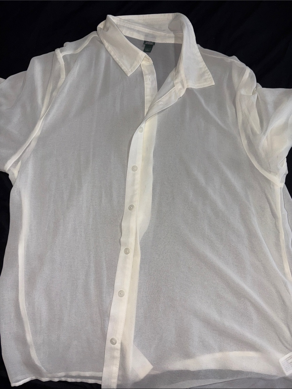Wild fable women’s  White Sheer Button-Up Shirt